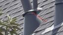 Vent Cap